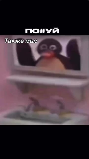 И такое бывает СВО ZOV