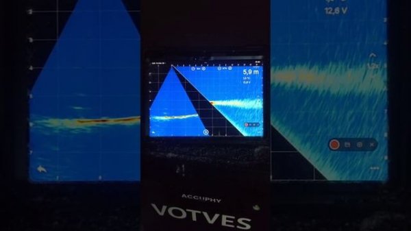 Panoptix нервно закурил... . Очередное обновление для Accuphy Ping Live Mini .