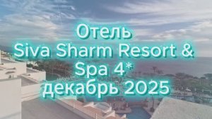 Siva Sharm Resort & Spa 4  декабрь 2025