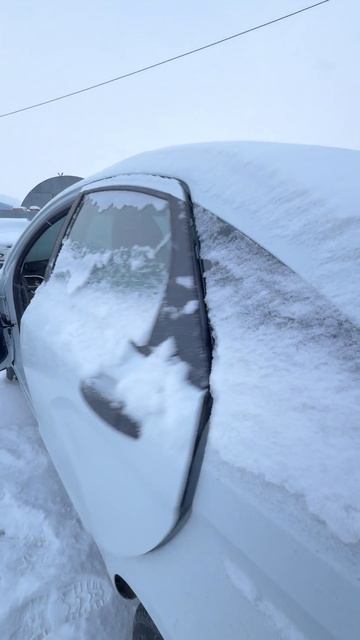 2025 LADA VESTA смотреть онлайн