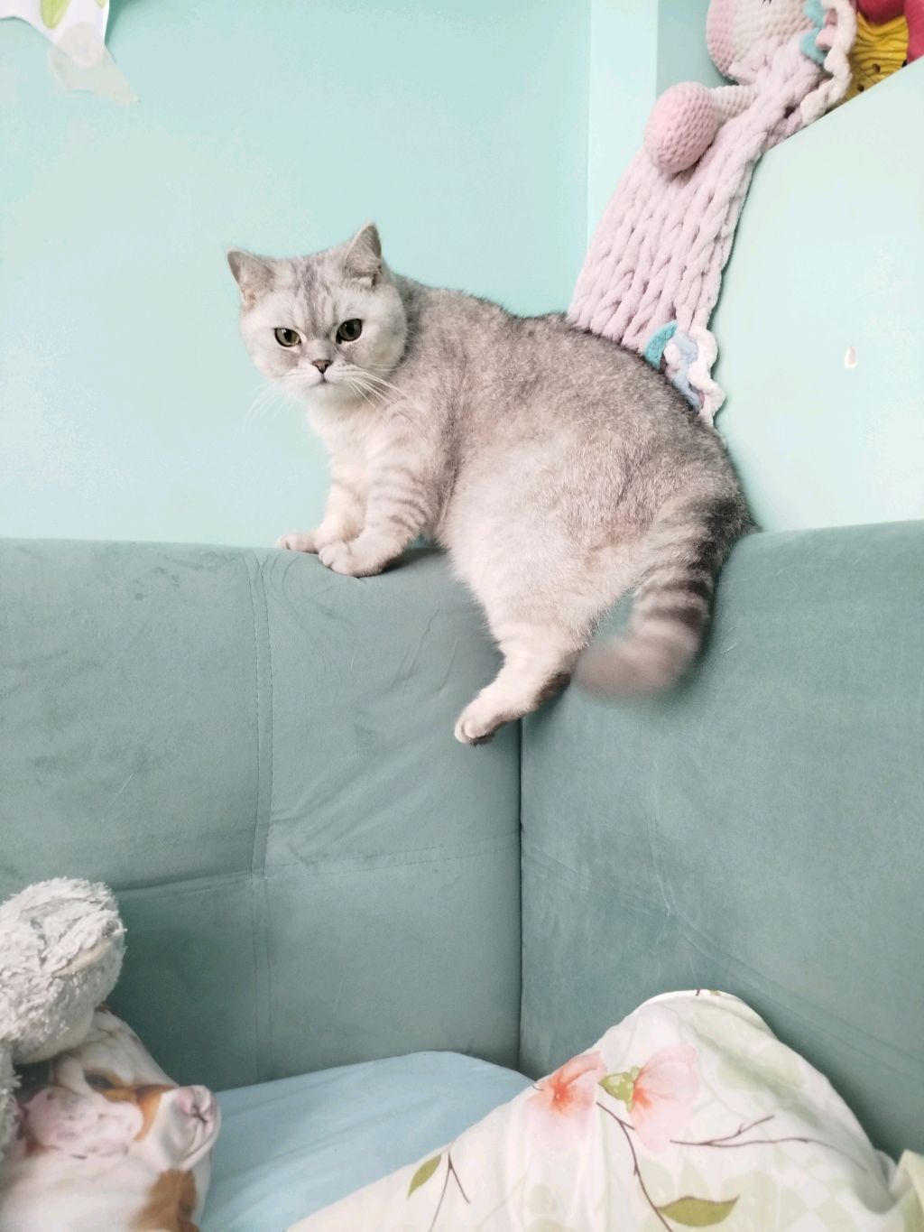 отвечаю на вопросы подписчиков смотреть онлайн