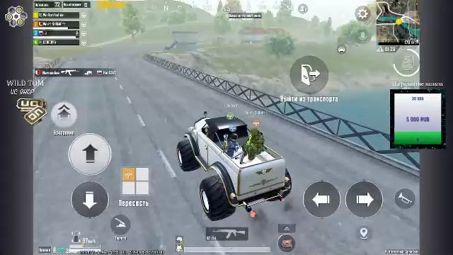 LIVE: WildTom_YouTube