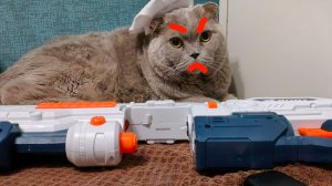 2 МИРОВАЯ В СТОЛОВКЕ