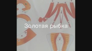 Золотая рыбка