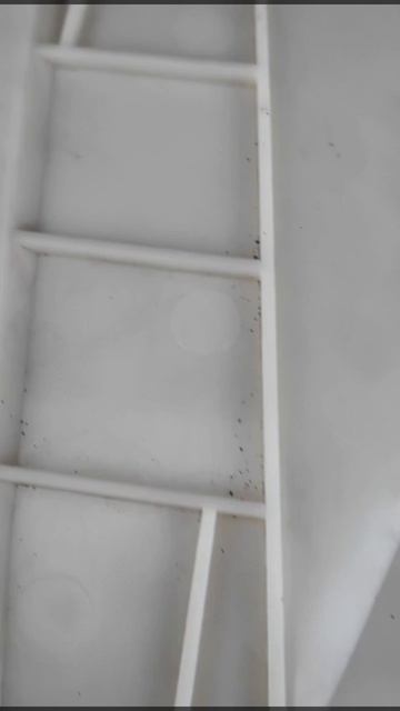 8 признаков по которым можно отличить оригинальный фильтр от подделки для Porsche, Audi, Bentley смотреть онлайн