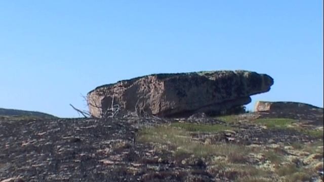 ©  "Лодейный 2 столешница рядом"  2004 г