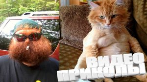 ВИДЕОПРИКОЛЫ \ КРУТЫЕ ПРИКОЛЫ 2025 \ НОВЫЕ ПРИКОЛЫ \ СМЕШНЫЕ ПРИКОЛЫ 2025 ЮМОР