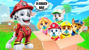 ЧТО СЛУЧИЛОСЬ С ЩЕНЯЧЬИМ ПАТРУЛЕМ В МАЙНКРАФТ