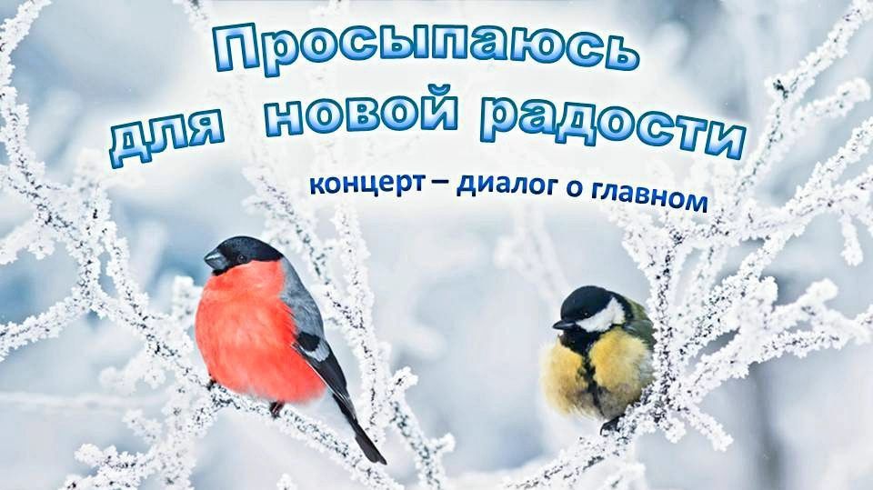 »Мир Вам» С.Сёмина