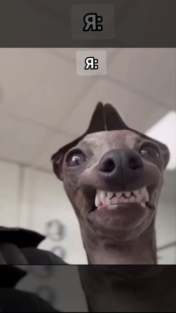 Есть ли такие люди в моей аудитории?

Как я...