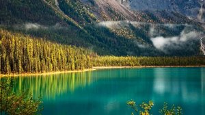 Когда природа говорит тихо | 4K релакс видео