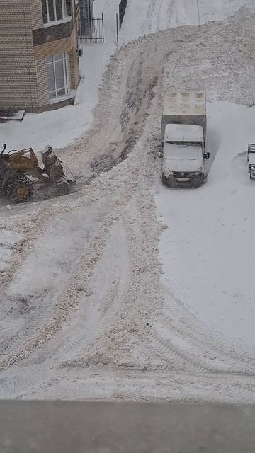 #наблюдатель😄😅🤣 смотреть онлайн