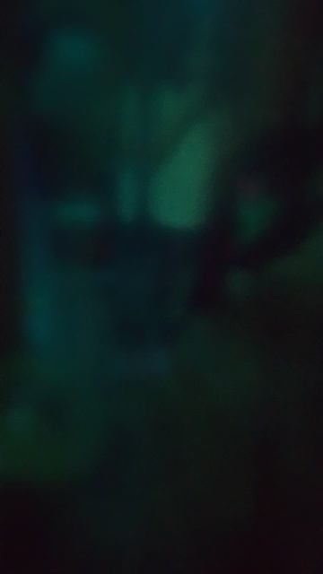 1000006551.mp4
