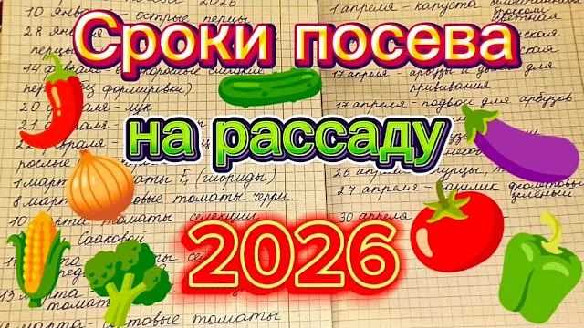 Сроки посева всех культур на рассаду 2026. Календарь посева смотреть онлайн