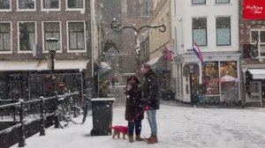 Сильный снегопад в УТРЕХТЕ, Нидерланды, 2026. Прогулка по городу в снежную бурю
