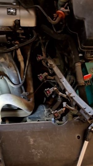 Свиду легкое снятие, но это пежо