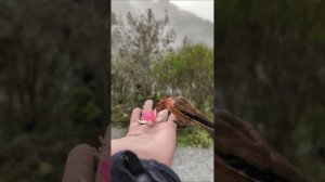 Любовь Карпенко - Не оставляйте счастье на потом