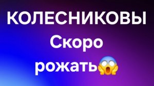 Колесниковы/Обзор.