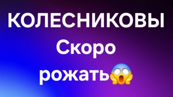 Колесниковы/Обзор.