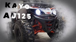 Квадроцикл KAYO AU125 ПТС