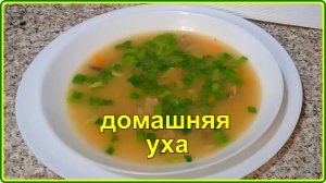 ДОМАШНЯЯ УХА ИЗ ГОЛОВ КАРПА  просто быстро и вкусно
