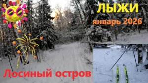 Катаюсь на ЛЫЖАХ в Лосином острове в январе 2026!!! На ЛЫЖАХ в Лосином острове в начале января 2026!