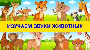 Изучаем звуки животных! Изучаем животных! Как разговаривают животные! Детский развивающий!