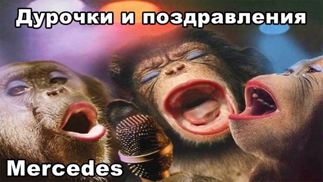 Mercedes ДУРОЧКИ И ПОЗДРАВЛЕНИЯ смотреть онлайн