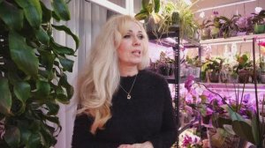 Орхидея из мясорубки. Кто виноват? История заказа и получения