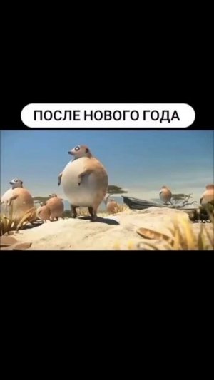Все так и есть
