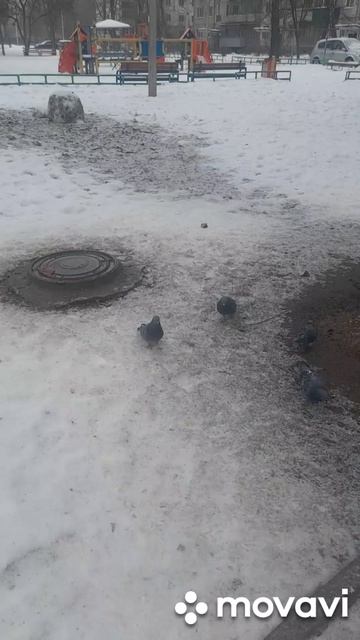 🖋️🚀 ВСЕМ ЗАВТРАКАТЬ🚀🖋️ смотреть онлайн