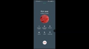 Мне звонит кот.exe #1!!!