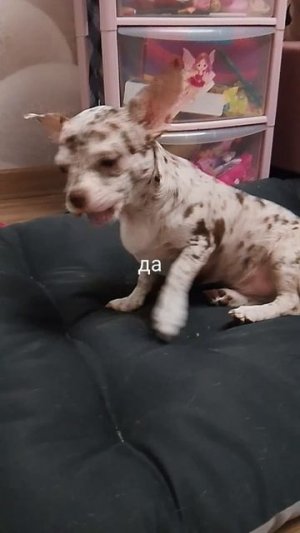 новое видео завтра 6 серия