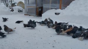 10.01.26г.(откопались)