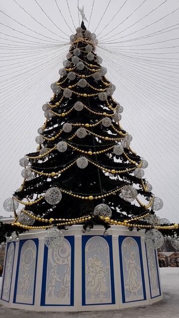 Главная ёлка Воронежа 2026. смотреть онлайн