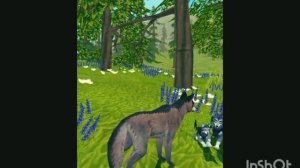 Мини фильм Wildcraft "Жизнь леса" 8 серия