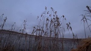 ОДИН В КАМЫШОВОЙ ТУНДРЕ, ВЫСКОЧИЛ ПО ЛЬДУ, А ТУТ ТЫСЯЧИ УТОК! ЗАКРЫТИЕ ОХОТЫ В ЯНВАРЕ.