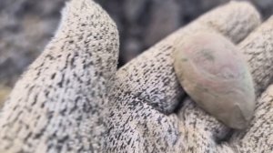 1608 / Немного летнего копа / Поиск монет и кладов с XP Deus 2