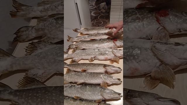 Нет! Никому не отдам 😁😁😁😁 смотреть онлайн