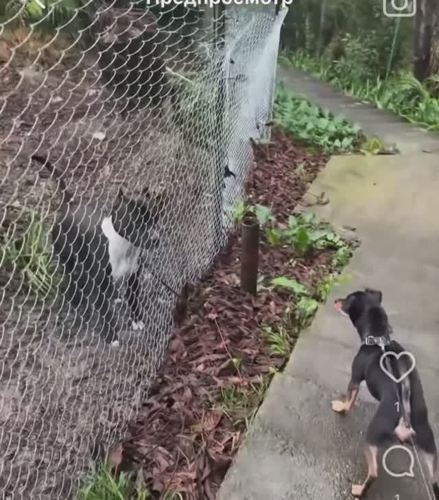 Челябинский Тëма в Сочах.