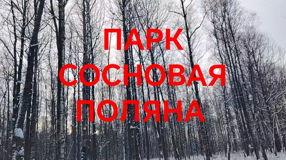 Новые станции метро, парк Сосновая поляна, электричка Лахта, разговоры. смотреть онлайн