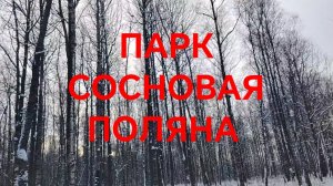 Новые станции метро, парк Сосновая поляна, электричка Лахта, разговоры.