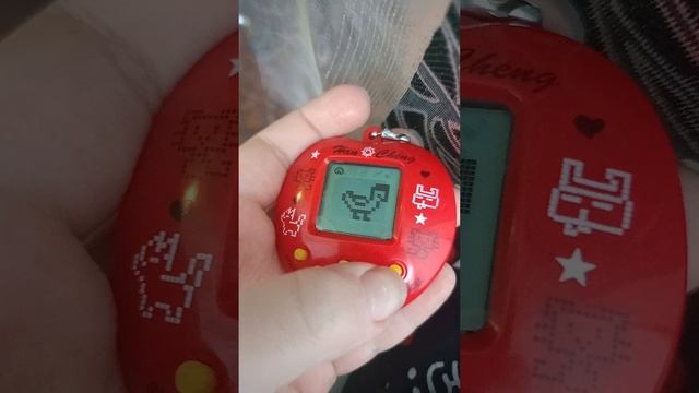 обучалка тамагочи