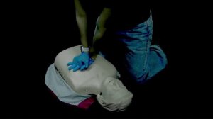 слр. Полный цикл