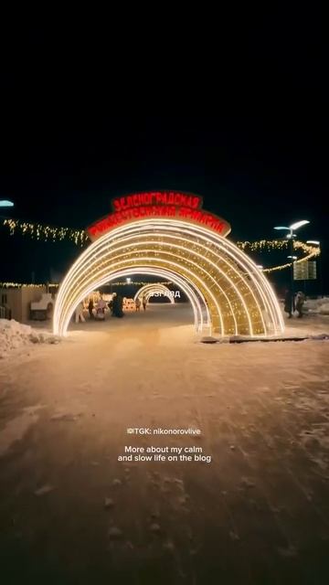 Тг: Nikonorovlive