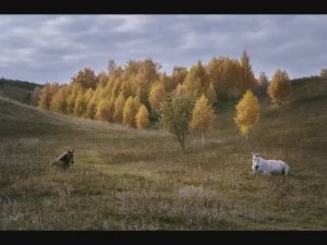 ИЗ ОСЕНИ - В ЗИМУ (БАШКИРИЯ) (Фото Светланы УРМАНЦЕВОЙ (Уфа), муз. Максима МУРЗИНА (Narcotic Chill)