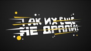 ТАК ИХ ЕЩЕ НЕ ИМЕЛИ