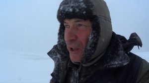 10.1.26. Финский залив. Ушково.