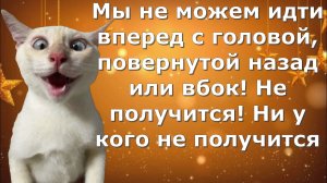 Хотели как лучше, а получилось как всегда. Черномырдинки