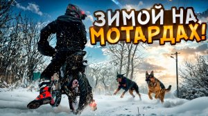 ПОКАТУШКА ЗИМОЙ НА МОТАРДОВОМ ПИТБАЙКЕ В ЖЁСТКИЙ ГОЛОЛЁД! // ПОГОНЯ ОТ СТАИ СОБАК!